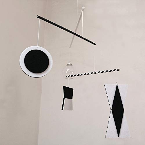 LERYDESI Visual Montessori Toy for Baby