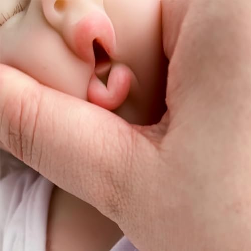 OtardDolls Realistic 12 Inch Reborn Baby Silicone Doll