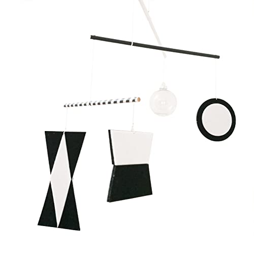 LERYDESI Visual Montessori Toy for Baby