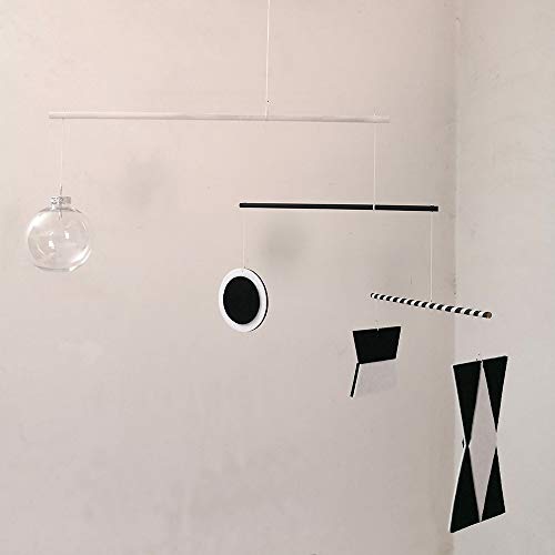 LERYDESI Visual Montessori Toy for Baby