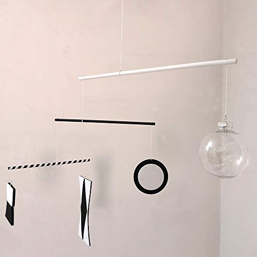 LERYDESI Visual Montessori Toy for Baby