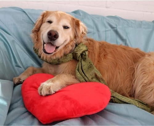 HongMall Cute Plush Red Heart Pillow Cushion Toy Gift
