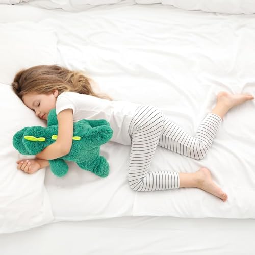 YOUBLEK 20 Weighted Plush Toy Dinosaur 4 Pounds Hugging Pillow