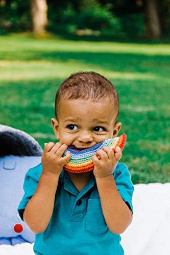 Pebble Friendly Rainbow Rattle - 6 Inch 1