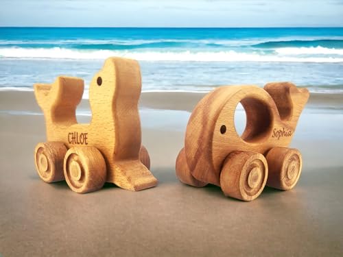 Personalized Wooden Animal Push Toy for Baby