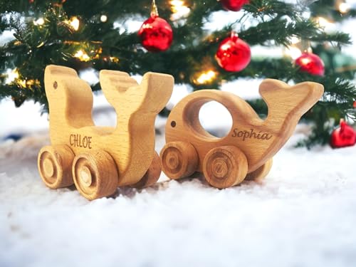Personalized Wooden Animal Push Toy for Baby