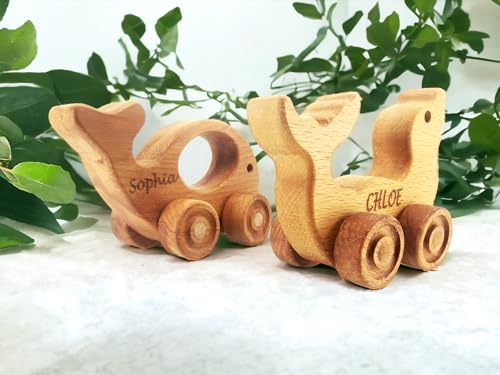 Personalized Wooden Animal Push Toy for Baby
