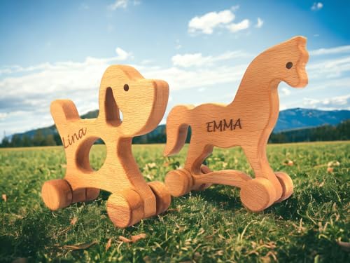 Personalized Wooden Animal Push Toy Set for Kids