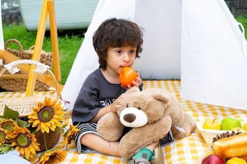 Niuniu Daddy 20 Inch Weighted Bear Plush for Adults Kids