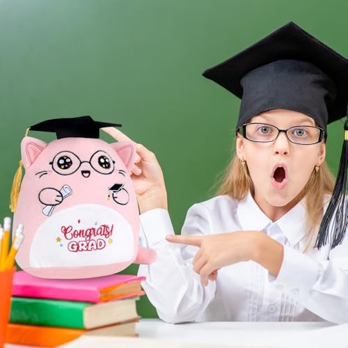 Graduation Stuffed Animal 2025 Pink Cat Plush Pillow