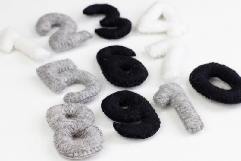 Matthew Mae Monthly Milestone Felt Number Set 0-9 1