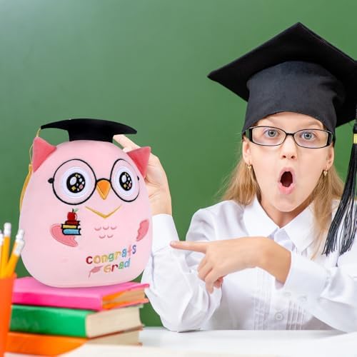 Pink Owl Graduation Plush 8 Inch Commemorative Graduation Pillow with Black Cap