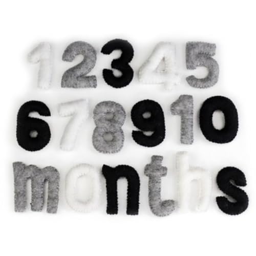 Matthew Mae Monthly Milestone Felt Number Set 0-9 1