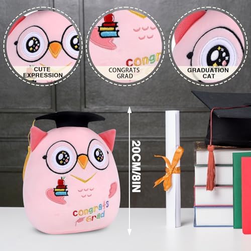 Pink Owl Graduation Plush 8 Inch Commemorative Graduation Pillow with Black Cap