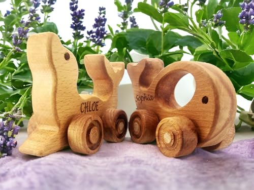 Personalized Wooden Animal Push Toy for Baby