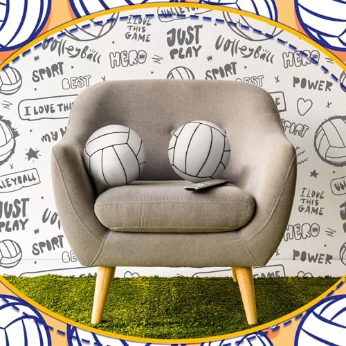 Gerrii Volleyball Plush Pillow Set 2 Pcs