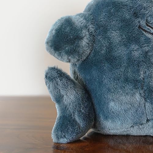 Shark Cat Plush Toy Cute Kawaii Stuffed Animal Pillow Blue 8inch