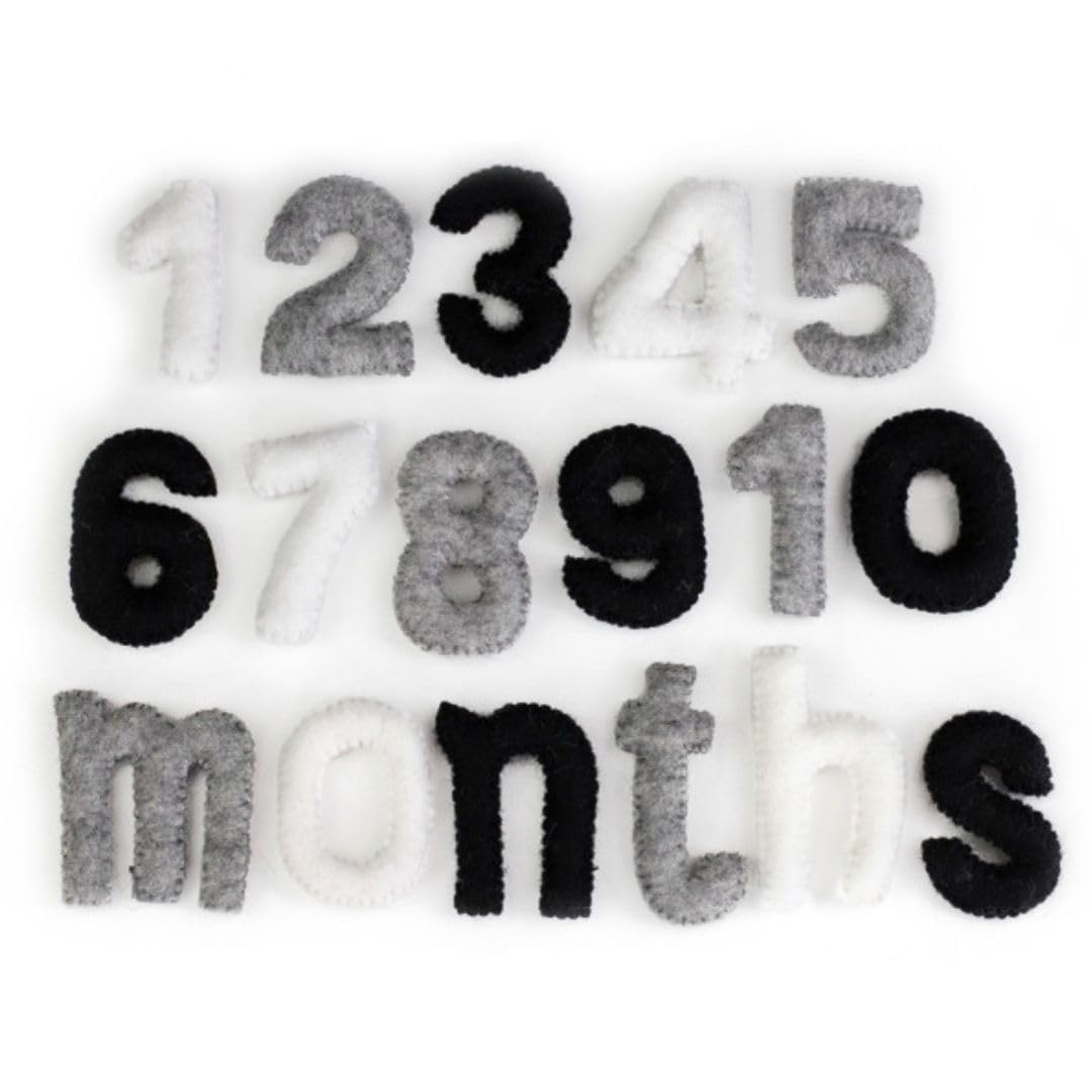 Matthew Mae Monthly Milestone Felt Number Set 0-9 1