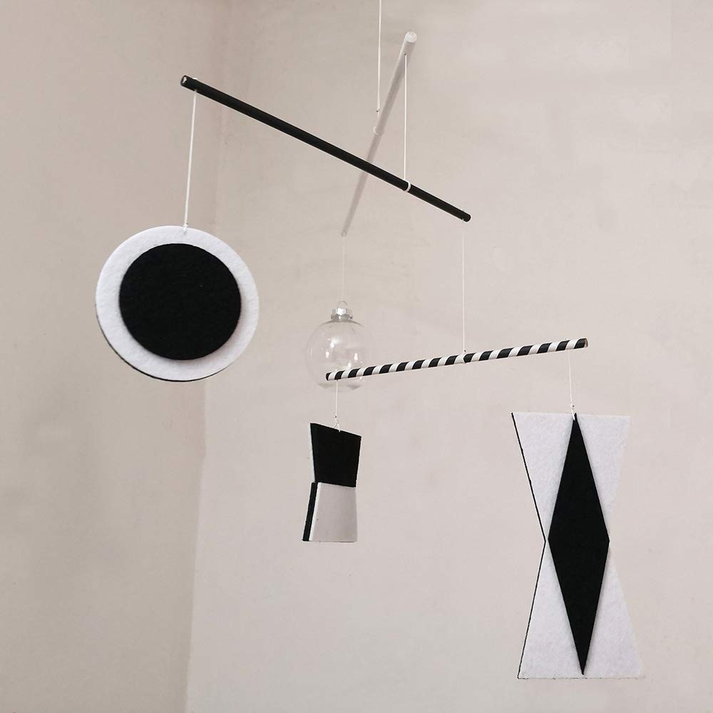 LERYDESI Visual Montessori Toy for Baby