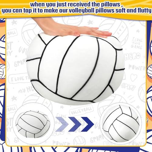 Gerrii Volleyball Plush Pillow Set 2 Pcs