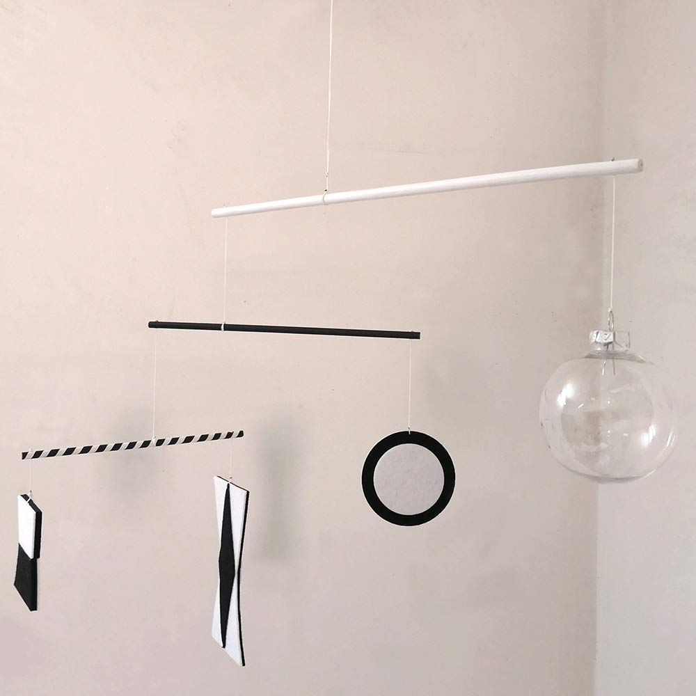 LERYDESI Visual Montessori Toy for Baby