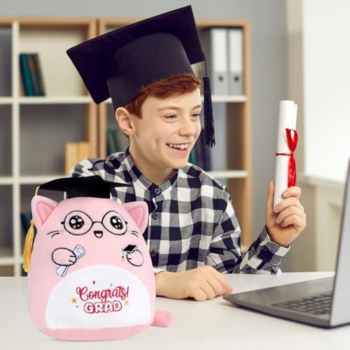 Graduation Stuffed Animal 2025 Pink Cat Plush Pillow