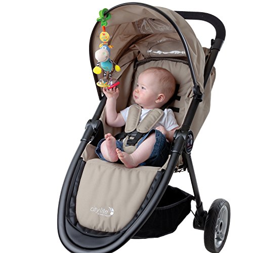 Playgro Dingly Dangly Rattle Toy for 0 Months
