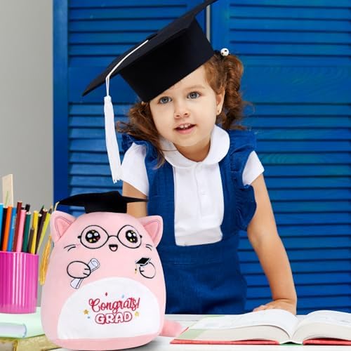 Graduation Stuffed Animal 2025 Pink Cat Plush Pillow