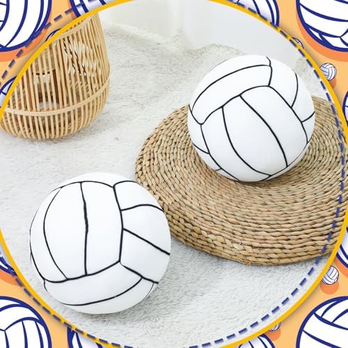 Gerrii Volleyball Plush Pillow Set 2 Pcs