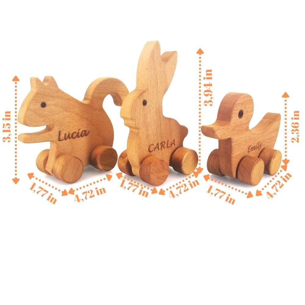 Personalized Wooden Animal Push Toy Car Set
