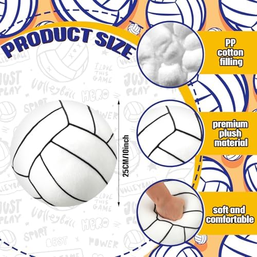 Gerrii Volleyball Plush Pillow Set 2 Pcs