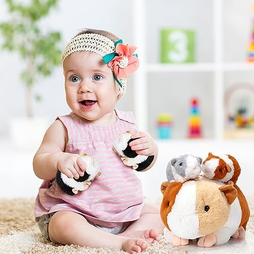Jenaai 5 Pcs Plush Guinea Pig Set