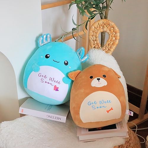Easfan 13 Axolotl Plush Pillow Get Well Soon Gift