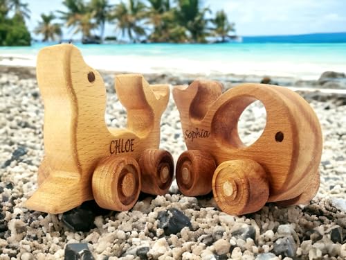 Personalized Wooden Animal Push Toy for Baby