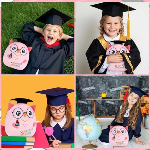 Pink Owl Graduation Plush 8 Inch Commemorative Graduation Pillow with Black Cap