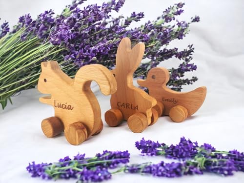 Personalized Wooden Animal Push Toy Car Set