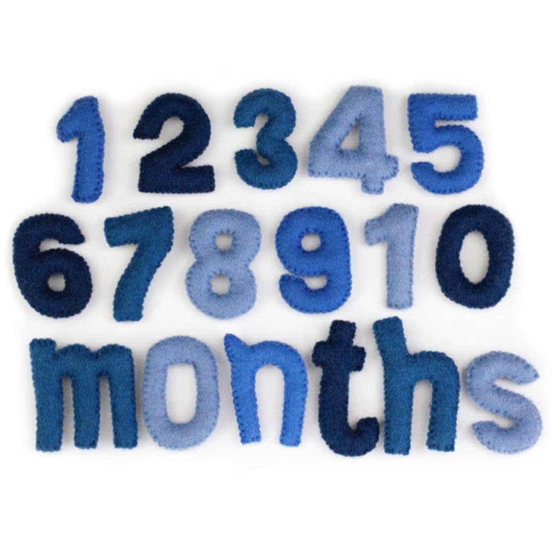 Matthew Mae Monthly Milestone Felt Number Set 0-9