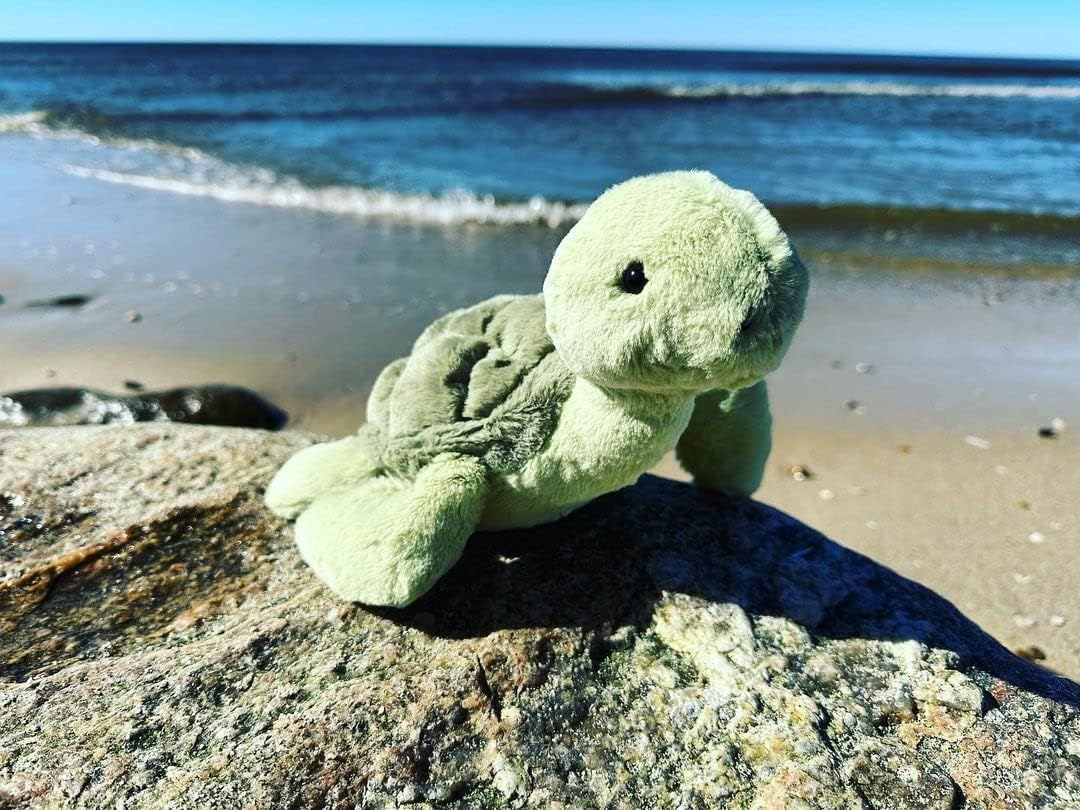 EASELR Weighted Plush Turtle Pillow Toy for Kids and Adults