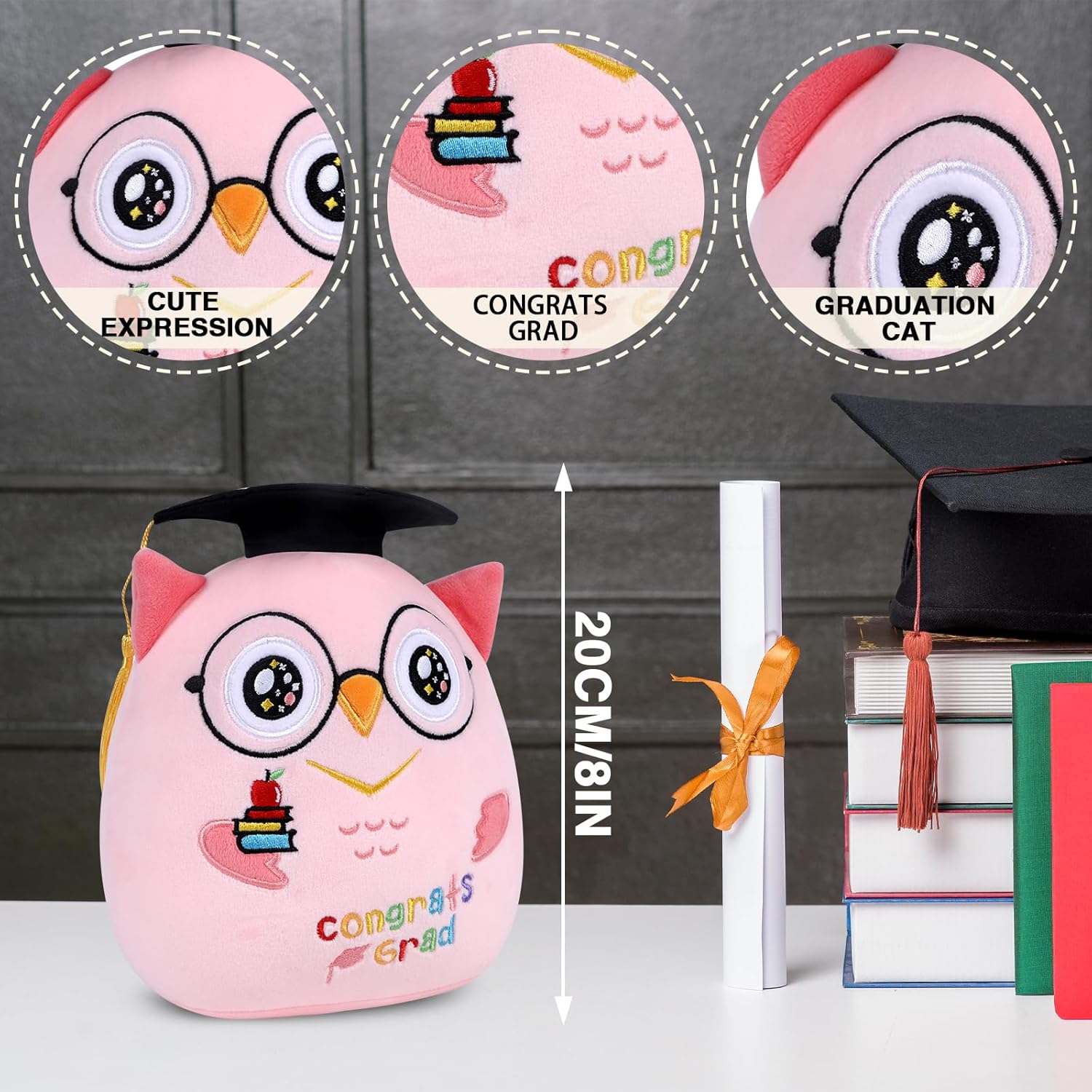 Pink Owl Graduation Plush 8 Inch Commemorative Graduation Pillow with Black Cap