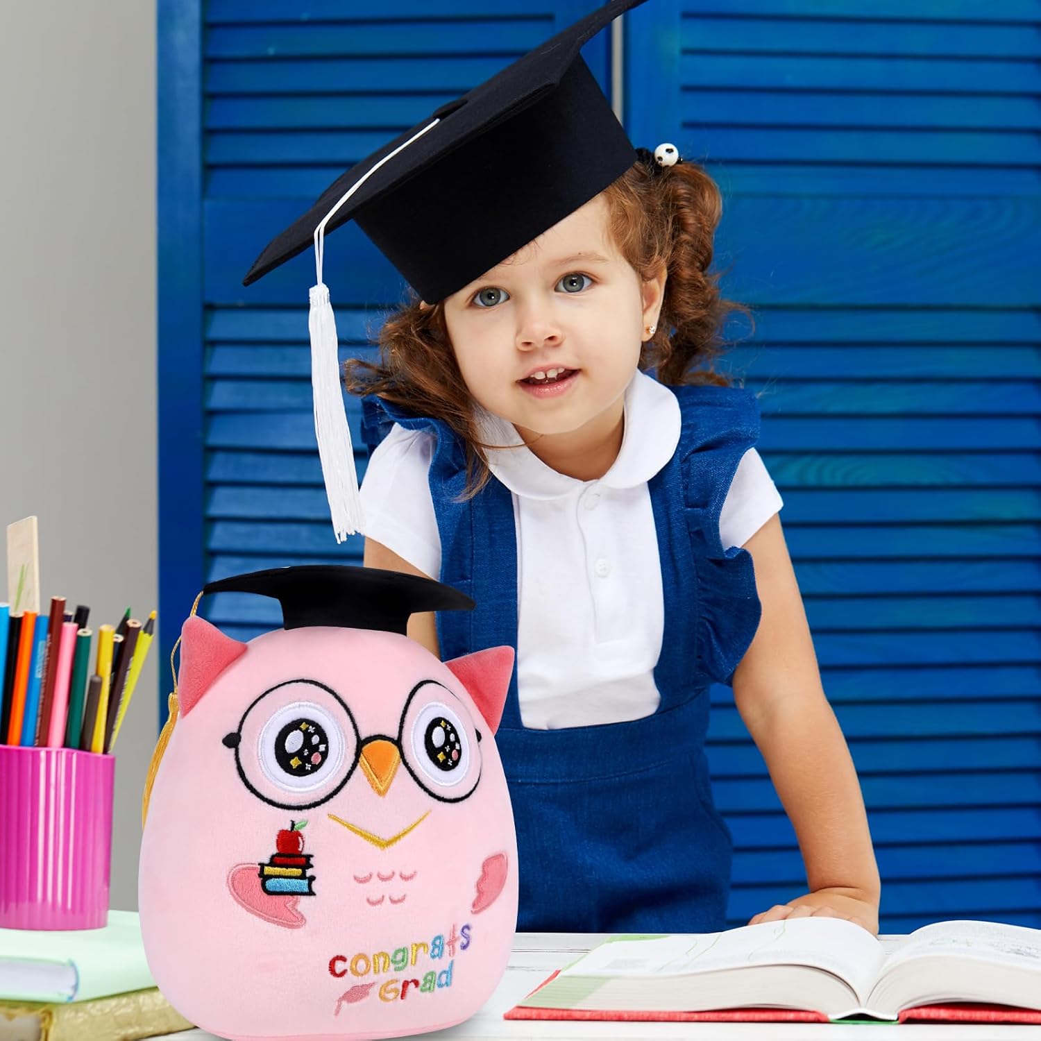 Pink Owl Graduation Plush 8 Inch Commemorative Graduation Pillow with Black Cap