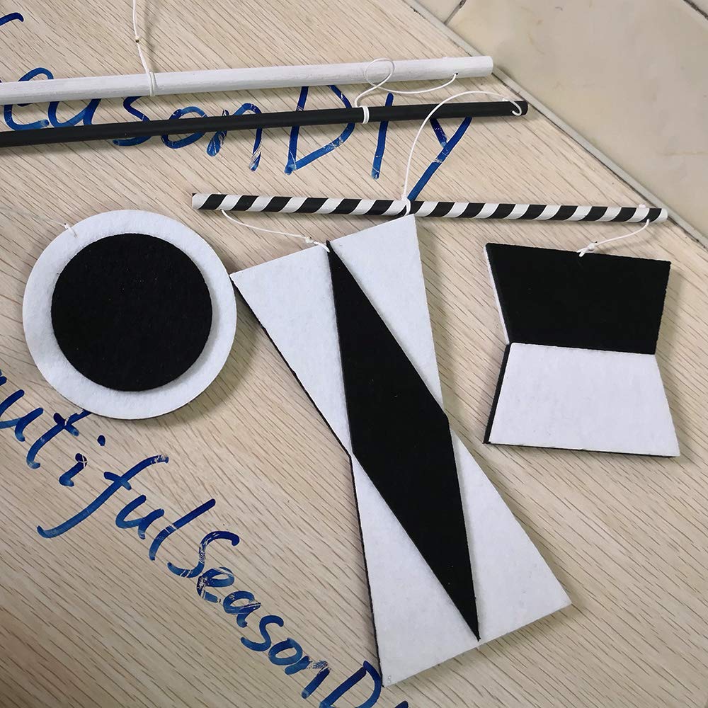 LERYDESI Visual Montessori Toy for Baby