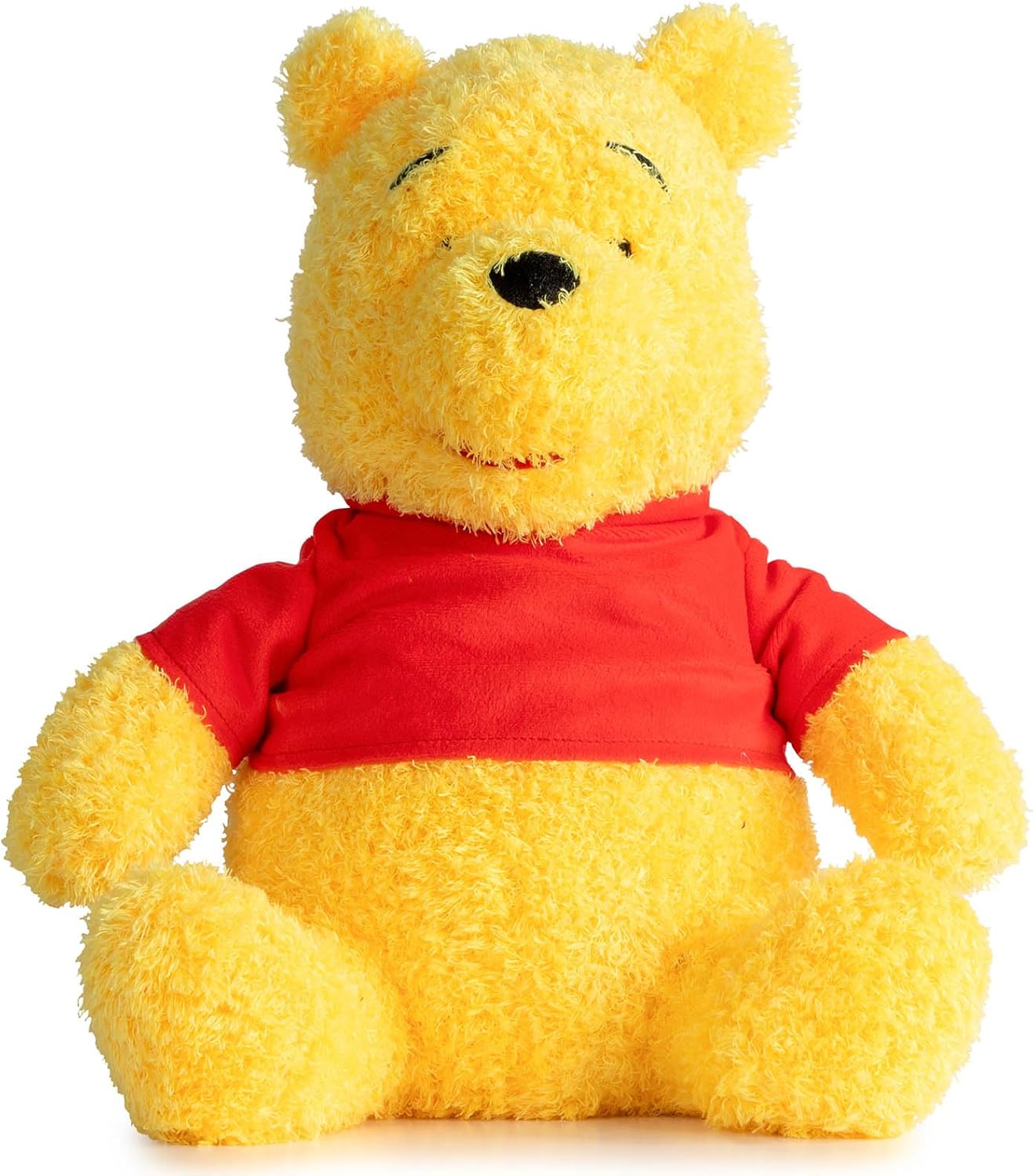 Jay Franco Disney Winnie the Pooh Plush Pillow Buddy - 14 Inches