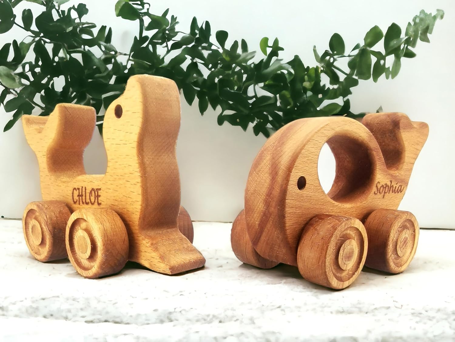 Personalized Wooden Animal Push Toy for Baby