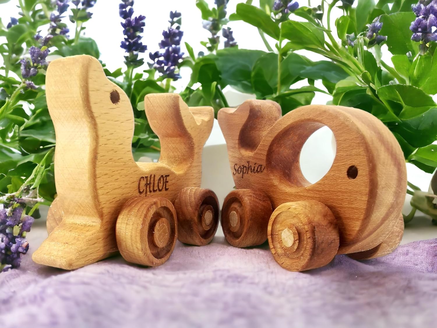 Personalized Wooden Animal Push Toy for Baby