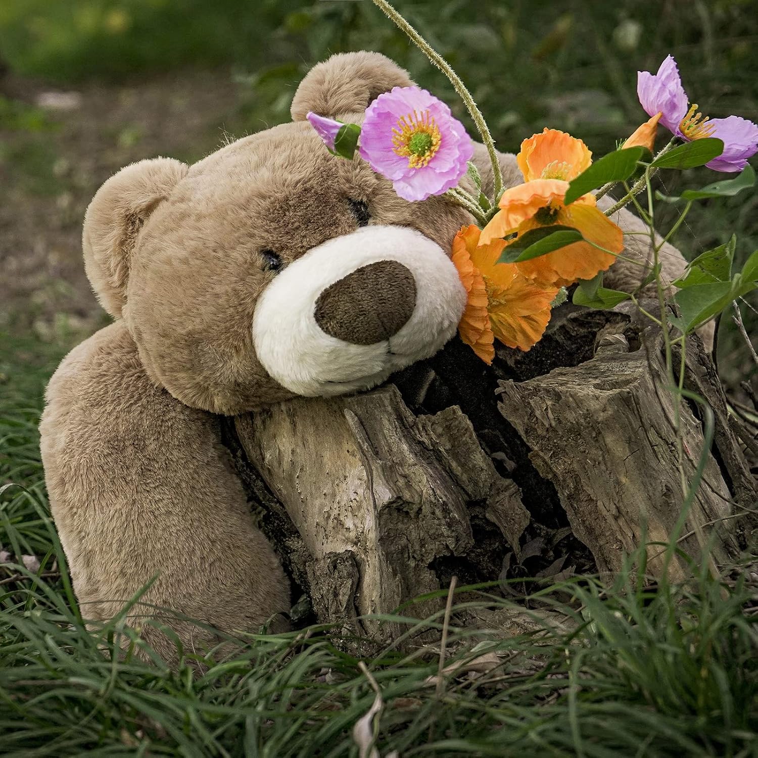 Niuniu Daddy 20 Inch Weighted Bear Plush for Adults Kids